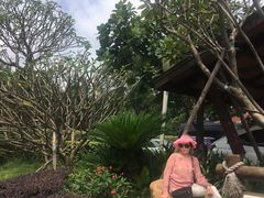 -厦门日月谷温泉渡假村