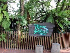 iphone_upload_pic-河川生态园