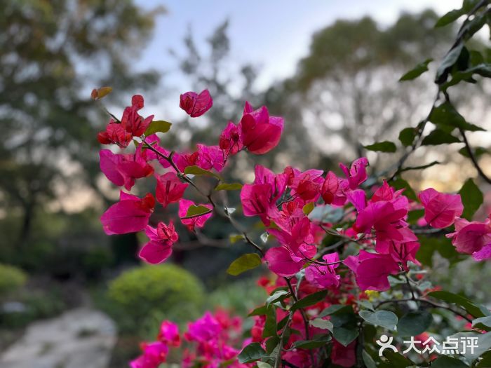 清源山风景区图片