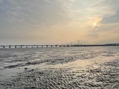 -南汇新城海滩