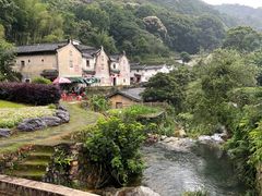 -雁南飞茶田景区