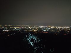 -紫金山山顶公园