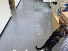 -瑞鹏宠物医院·夜间急症·心超·猫科(祖庙分店)
