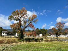 -塔川景区