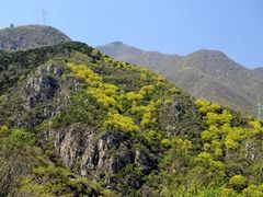 -北京鹫峰国家森林公园