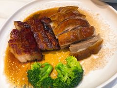 -柠檬树茶餐厅(海雅缤纷城店)