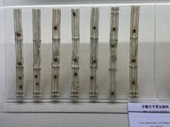 -旅顺博物馆