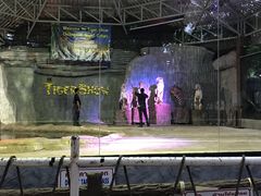 -清迈夜间动物园