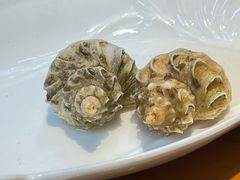 小海螺-醉壹号海鲜大排档(厦门美食地标店)