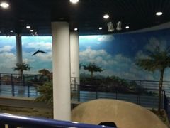 -吉林省自然博物馆