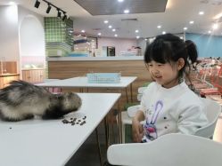 -Moni星球萌宠·小马宝莉·灵蛇·高端高阶全萌宠互动体验俱乐部(红豆国际广场店)