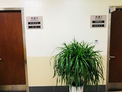 -美联众合动物医院·24h转诊中心