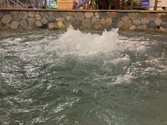 -南宫温泉水世界