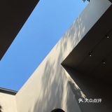 广州周末下午茶☕️这里为什么这么好拍！！！！