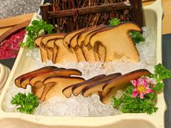 -季季山·云南野生菌火锅(上海首店)