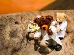 -济州岛泰迪熊博物馆