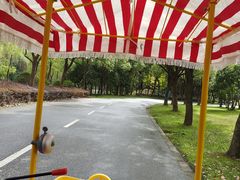 -贡湖湾湿地公园