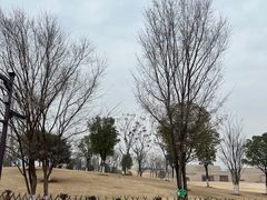 -盘龙城国家考古遗址公园