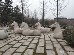 -鹦鹉寺公园