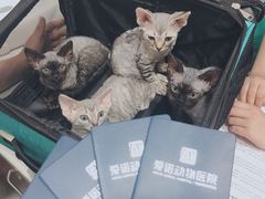 -爱诺动物医院(崂山店)