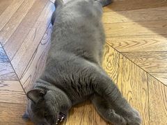 -Me Coffee下午茶艺术空间