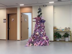 -上海伊莱美医疗美容医院