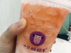 -一只酸奶牛(八一路店)