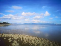 -深圳湾公园(南山区)