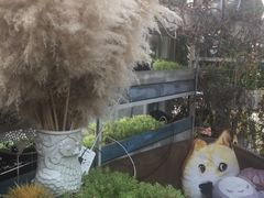 -小时光咖啡馆(北锣鼓巷店)