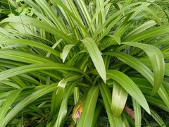 -杭州城北体育公园