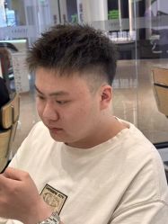 -YESIDO椰岛造型