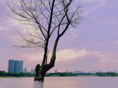 -桐乡凤凰湖