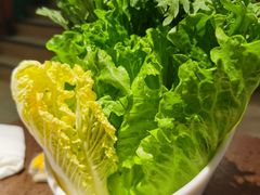 蔬菜拼盘-幸运牛汕头小黄牛牛肉火锅(梅林店)