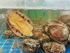-海之鲜大排档(东山海鲜金銮湾店)