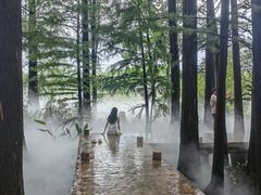-东湖落雁景区