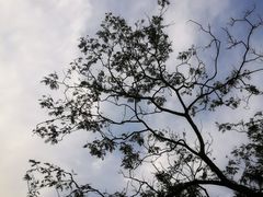 -上海市保健医疗中心(华东疗养院)
