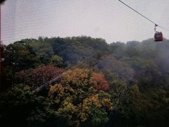 -牛背梁国家森林公园