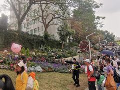 -人民公园(罗湖区)