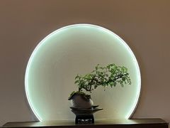 -小茶闲舍·观景商务茶馆(广州塔店)