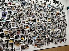 -瑞派·关忠动物医院·猫专科·犬专科(三环新城店)