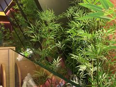 景观位-初蓉丨遇见新川菜(亲贤街荣耀店)