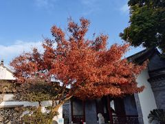 -南翔古镇