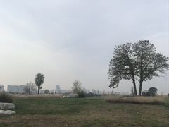 -汉长安城未央宫国家考古遗址公园