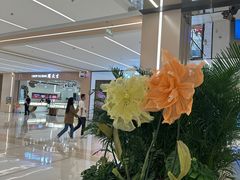 -凯德MALL(望京店)