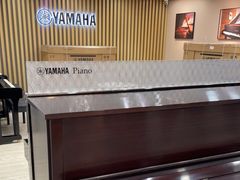 -雅马哈乐器专卖店(广州旗舰店)