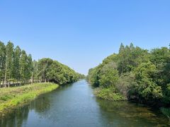 -昆山城市生态森林公园
