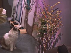 -咖法森林·咖啡  酒吧(天河店)