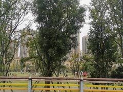 -府河摄影公园