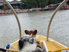 -上海海湾国家森林公园