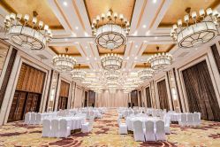 -天泰一站式婚宴·宴会厅